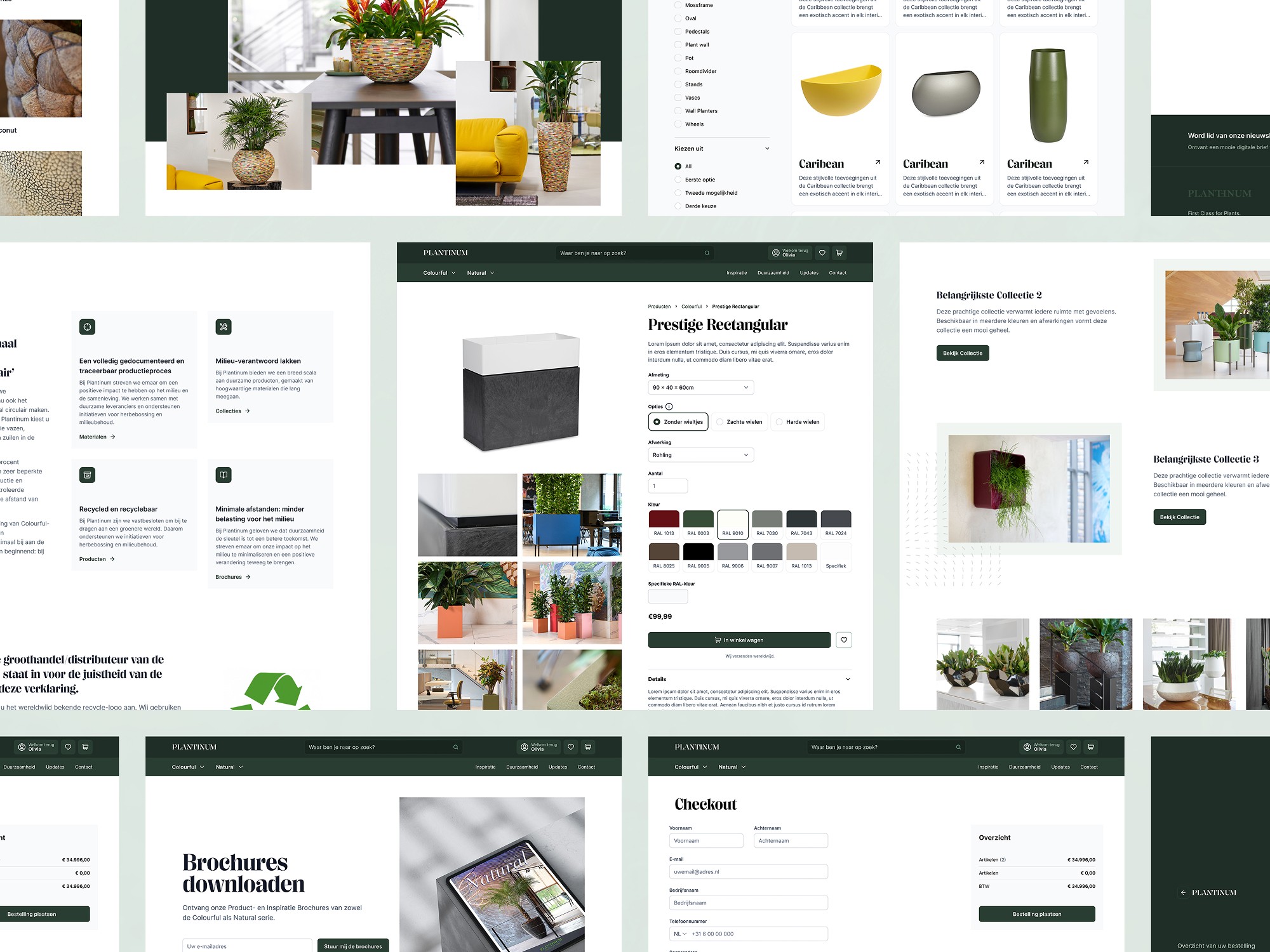 Creating Spaces that Matter with Plantinum Ecommerce - Image 1