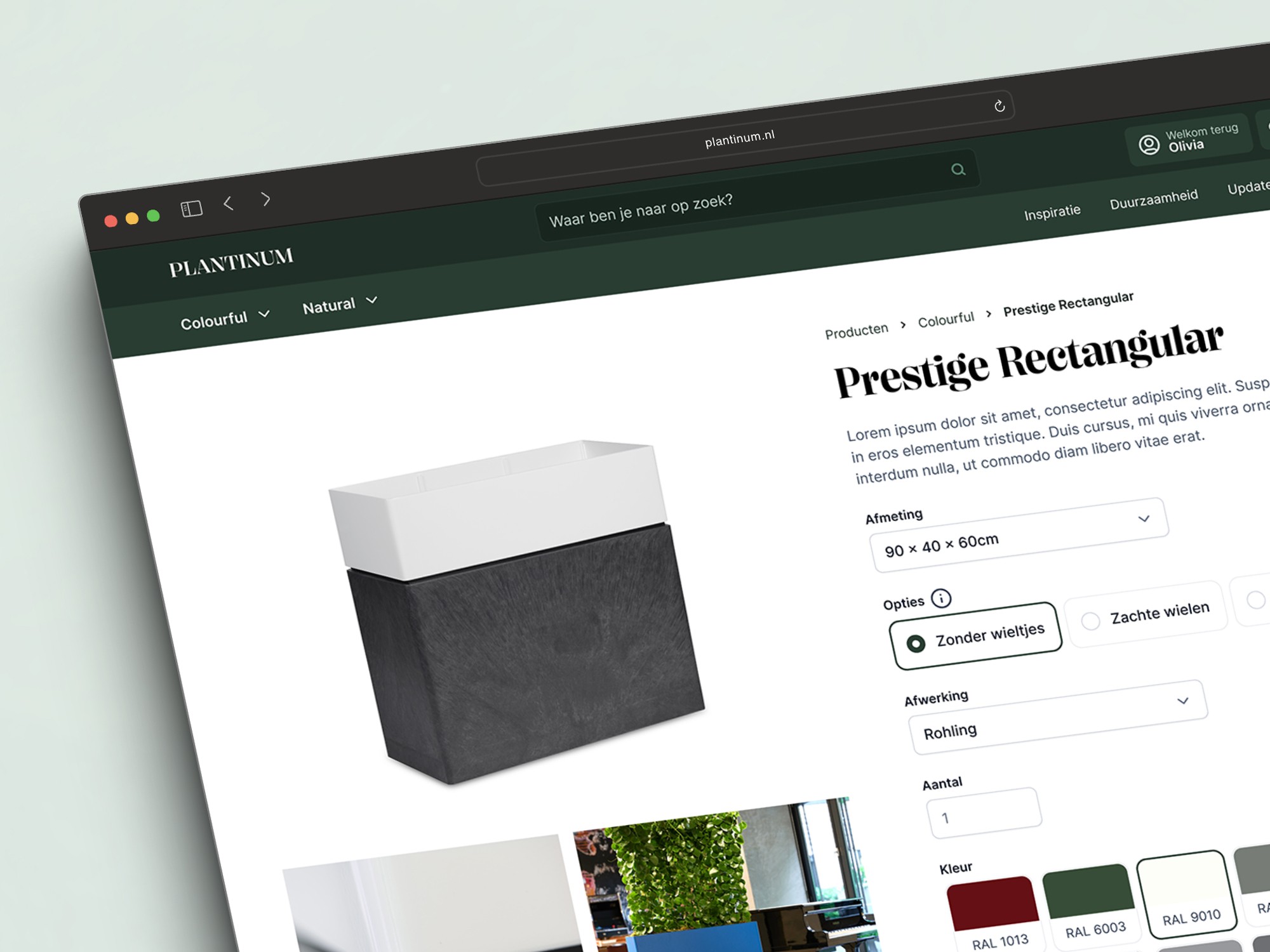 Creating Spaces that Matter with Plantinum Ecommerce - Image 5