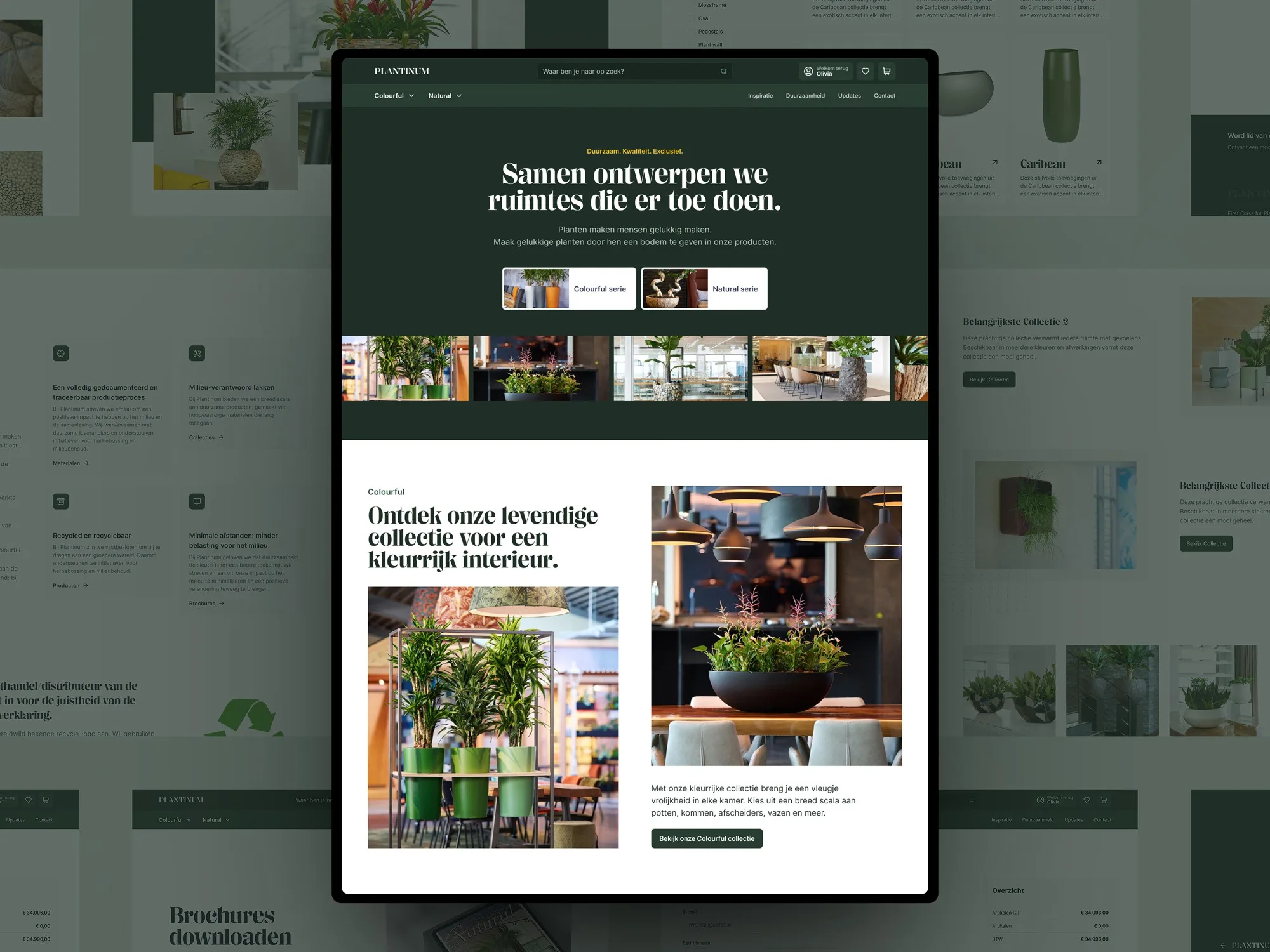 Creating Spaces that Matter with Plantinum Ecommerce